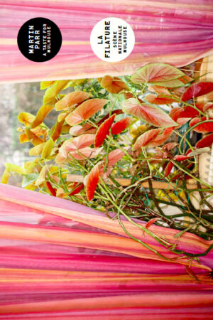 A Taste For Mulhouse